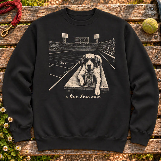 Pointer Football Tailgate on a Black crewneck sweatshirt, shown flat