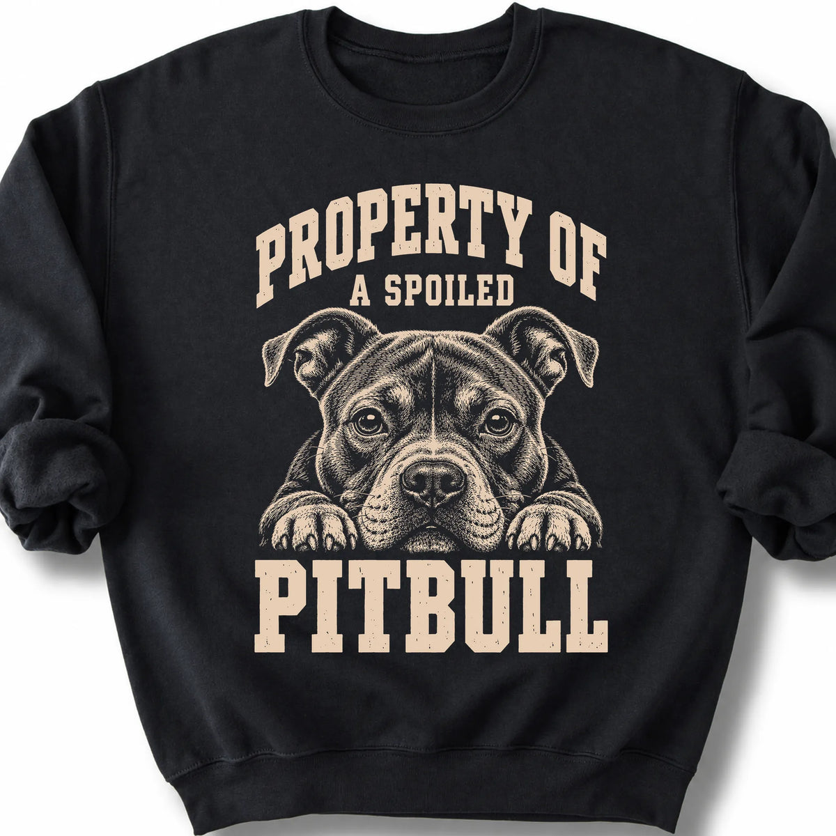 Black Pitbull sweatshirt with a dog portrait and “Property of a Spoiled” lettering.