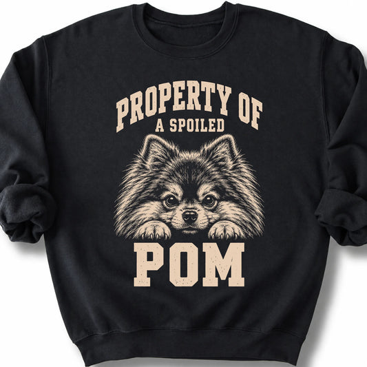 Black Pomeranian sweatshirt with a dog portrait and “Property of a Spoiled” lettering.