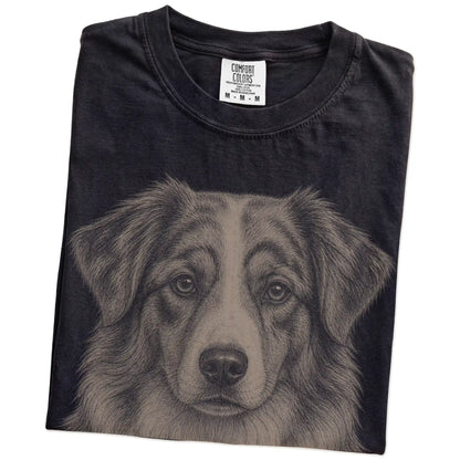Folded Black Comfort Colors® T-shirt showing a realistic drawing of a Australian Shepherd