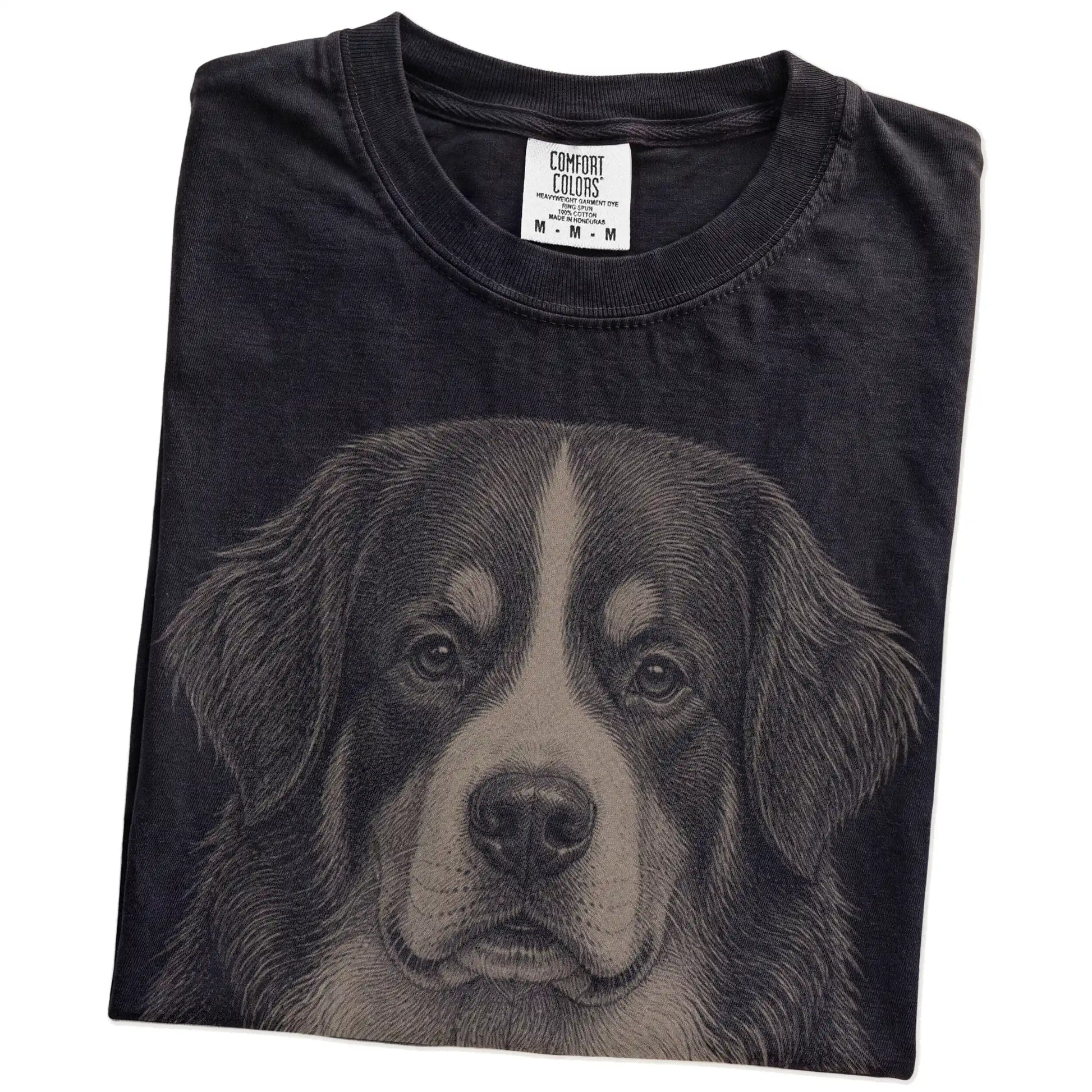 Folded Black Comfort Colors® T-shirt showing a realistic drawing of a Bernese Mountain Dog