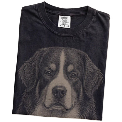 Folded Black Comfort Colors® T-shirt showing a realistic drawing of a Bernese Mountain Dog