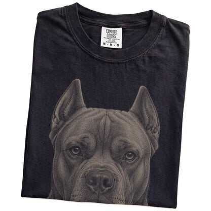 Folded Black Comfort Colors® T-shirt showing a realistic drawing of a Cane Corso