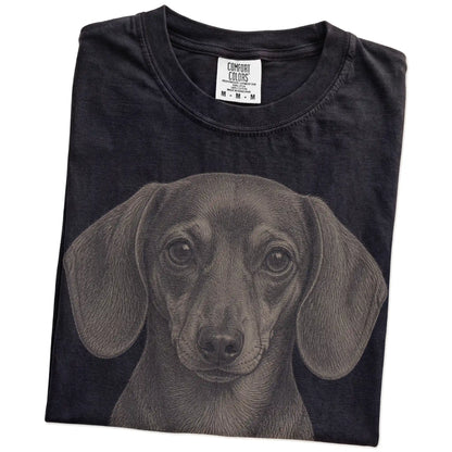 Folded Black Comfort Colors® T-shirt showing a realistic drawing of a Dachshund