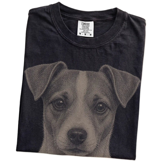 Folded Black Comfort Colors® T-shirt showing a realistic drawing of a Jack Russell