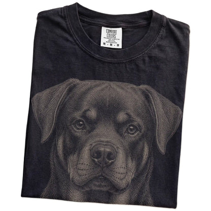 Folded Black Comfort Colors® T-shirt showing a realistic drawing of a Rottweiler