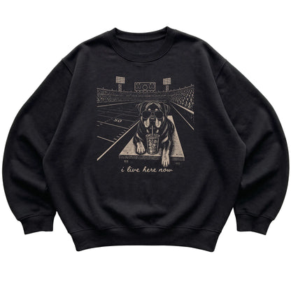 Black Rottweiler Football Tailgate sweatshirt, laid flat