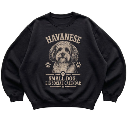 Black crewneck sweatshirt featuring Small Dog, Big Social Calendar - Havanese, laid-flat presentation