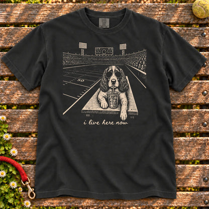 Springer Spaniel Iced Coffee Football design on a Black Comfort Colors T-shirt, shown flat