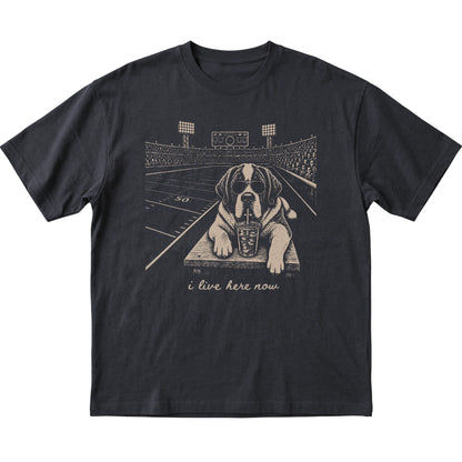 Black St Bernard Football Tailgate T-shirt, laid flat
