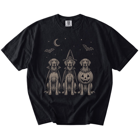 Three Vizsla dogs dressed for Halloween beneath bats and a crescent moon on a Black Comfort Colors® T-shirt