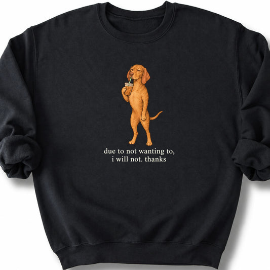 Vizsla I Will Not design with iced coffee on a black sweatshirt
