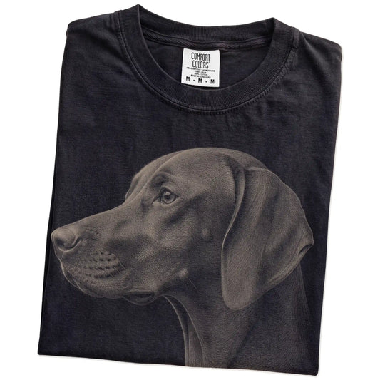 Folded Black Comfort Colors® T-shirt showing a detailed photographic portrait of a Vizsla