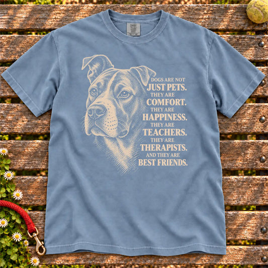 Dogs Are Not Just Pets Rescue Dog text design on a Blue Jean Comfort Colors T-shirt