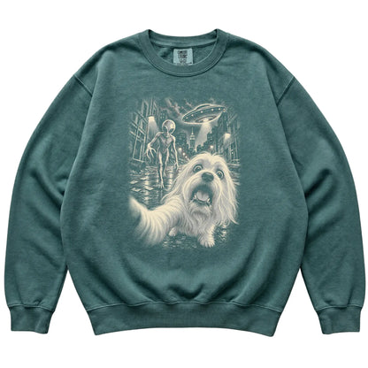 Maltese Alien Selfie Comfort Colors Sweatshirt in Blue Spruce, flat view