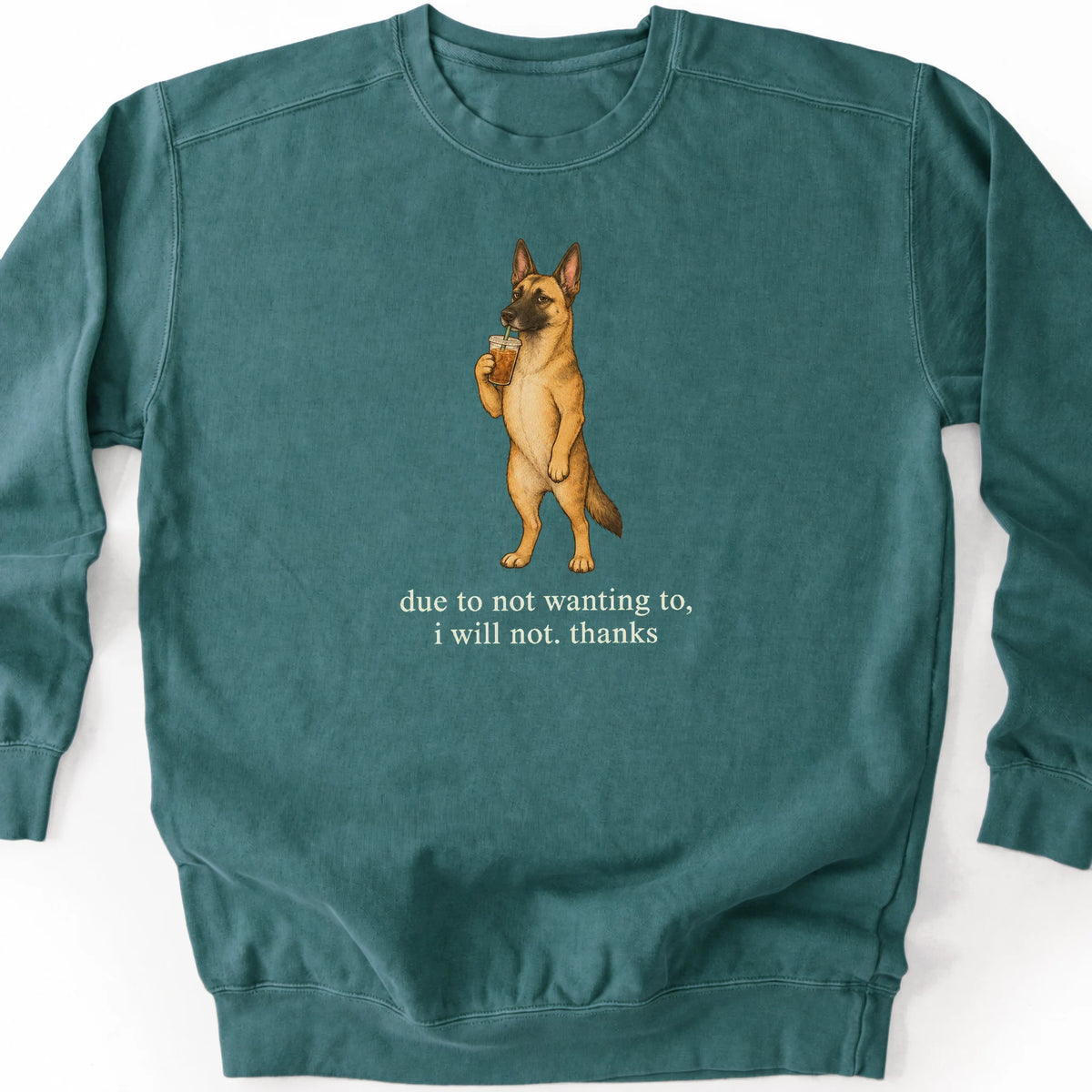Belgian Malinois I Will Not design with iced coffee on a blue spruce sweatshirt