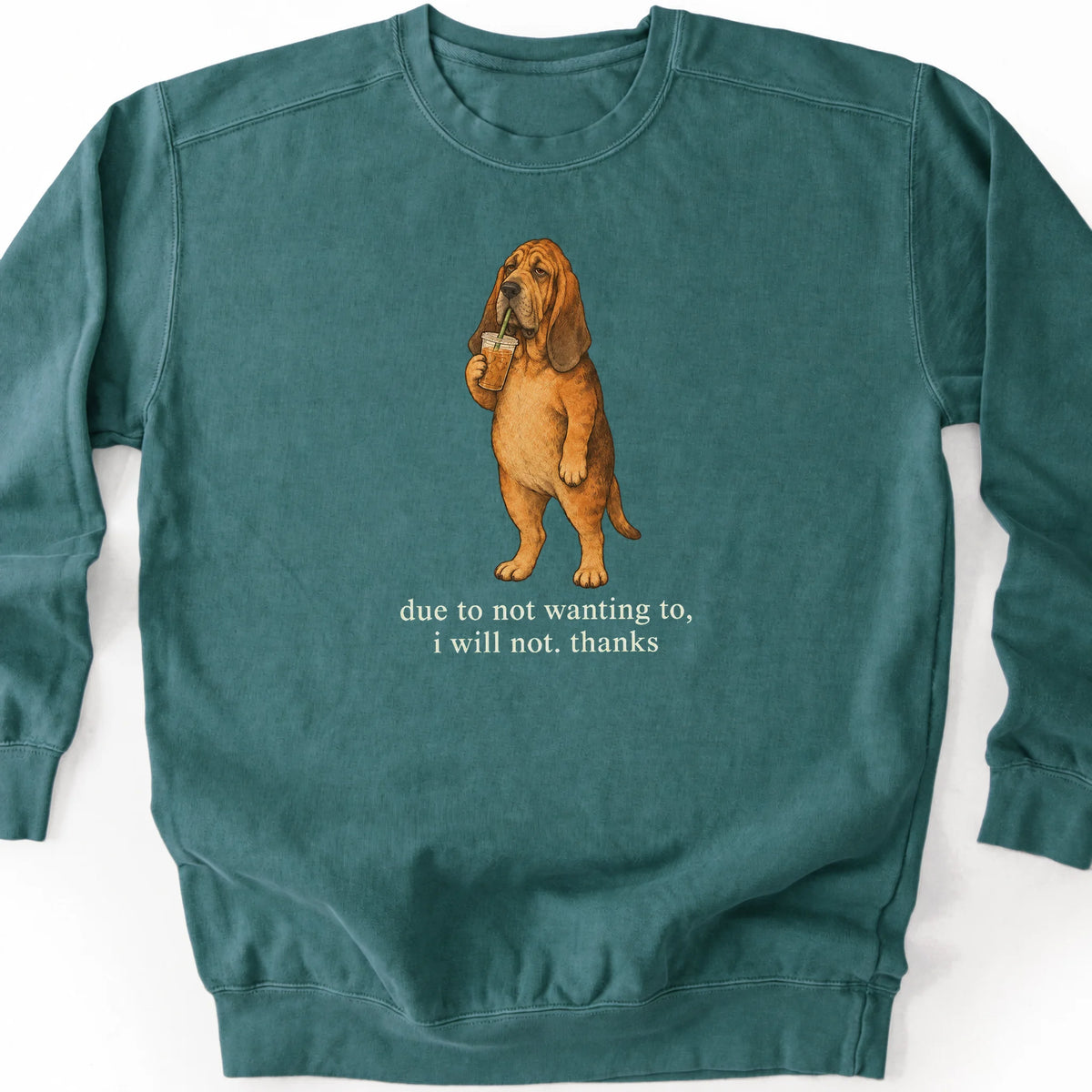 Bloodhound I Will Not design with iced coffee on a blue spruce sweatshirt