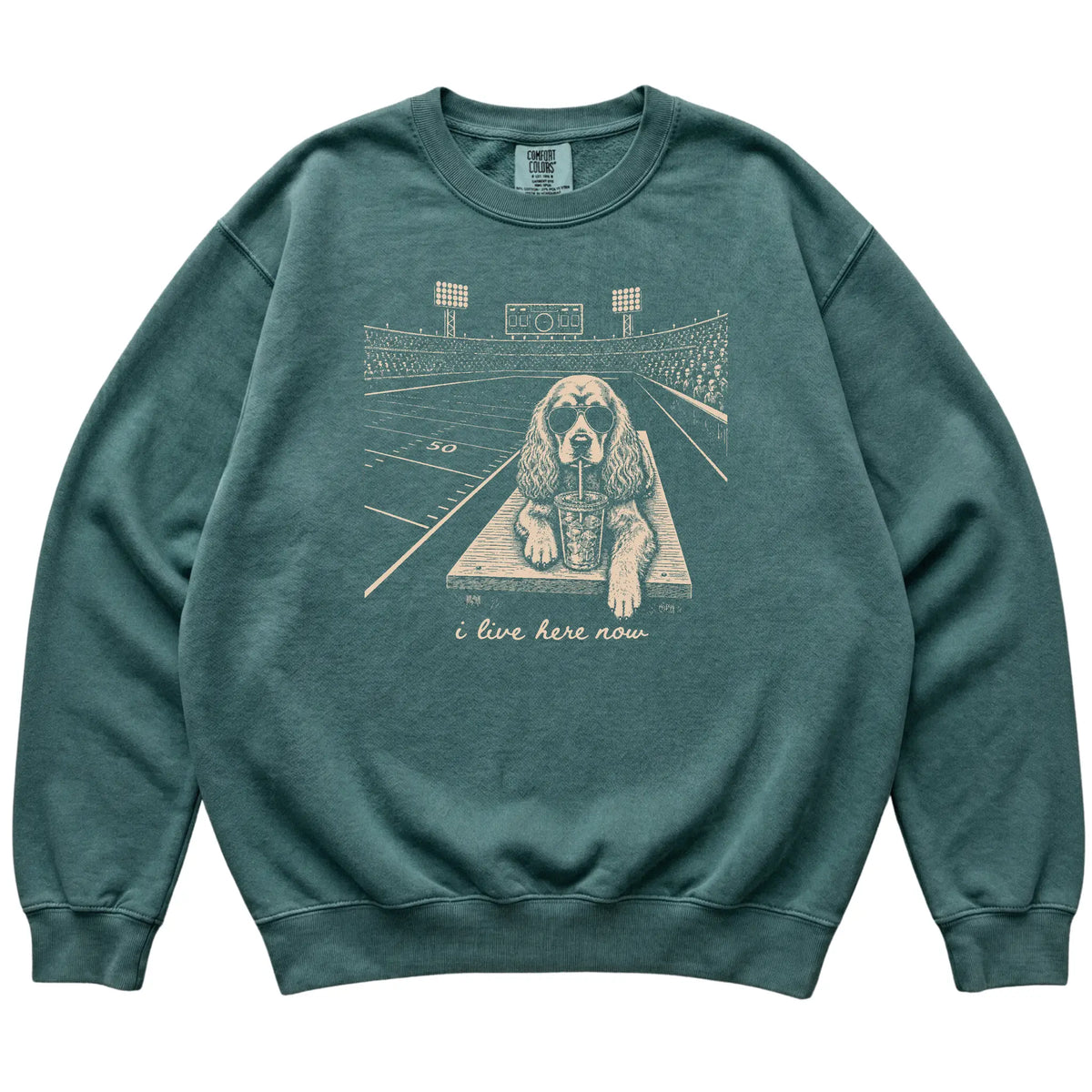 Blue Spruce Cocker Spaniel Football Tailgate sweatshirt laid flat