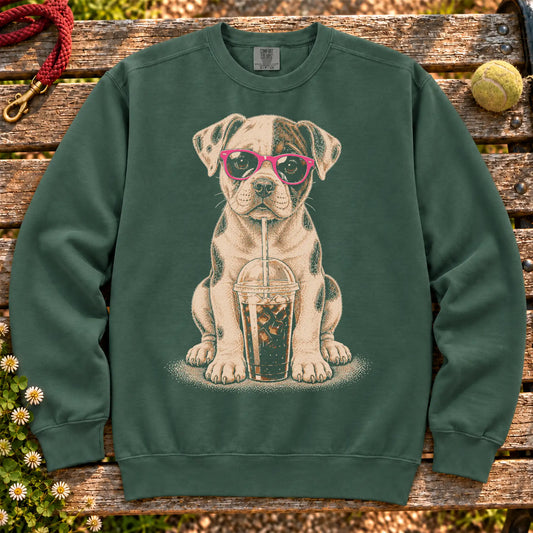 American Bulldog drinking cold coffee in pink sunglasses on Blue Spruce sweatshirt