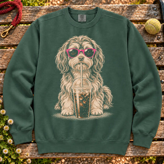 Havanese drinking cold coffee in pink sunglasses on Blue Spruce sweatshirt