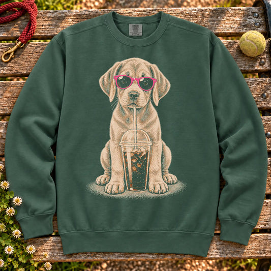Labrador Retriever drinking cold coffee in pink sunglasses on Blue Spruce sweatshirt