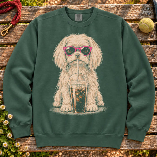 Maltese drinking cold coffee in pink sunglasses on Blue Spruce sweatshirt