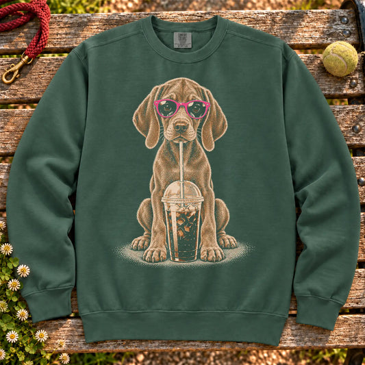 Vizsla drinking cold coffee in pink sunglasses on Blue Spruce sweatshirt