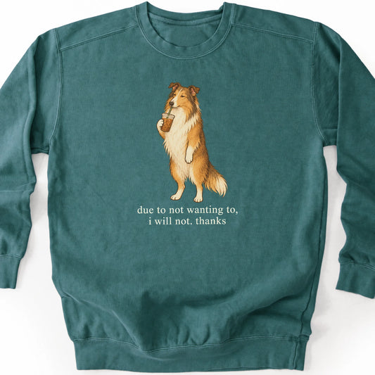 Collie I Will Not design with iced coffee on a blue spruce sweatshirt