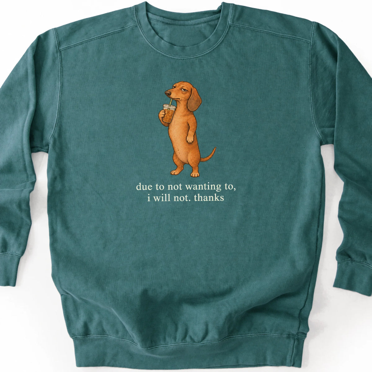 Dachshund I Will Not design with iced coffee on a blue spruce sweatshirt