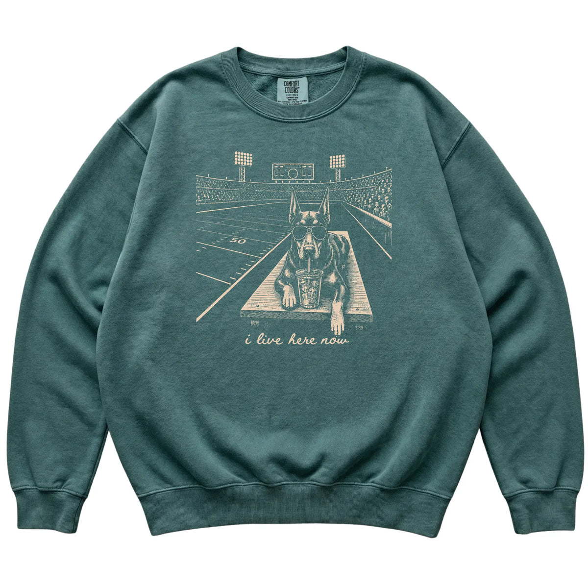 Blue Spruce Doberman Football Tailgate sweatshirt laid flat