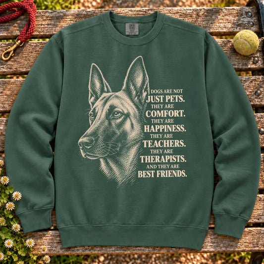 Dogs Are Not Just Pets Belgian Malinois text design on a Blue Spruce Comfort Colors sweatshirt