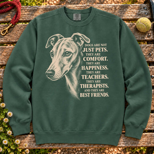 Dogs Are Not Just Pets Whippet text design on a Blue Spruce Comfort Colors sweatshirt