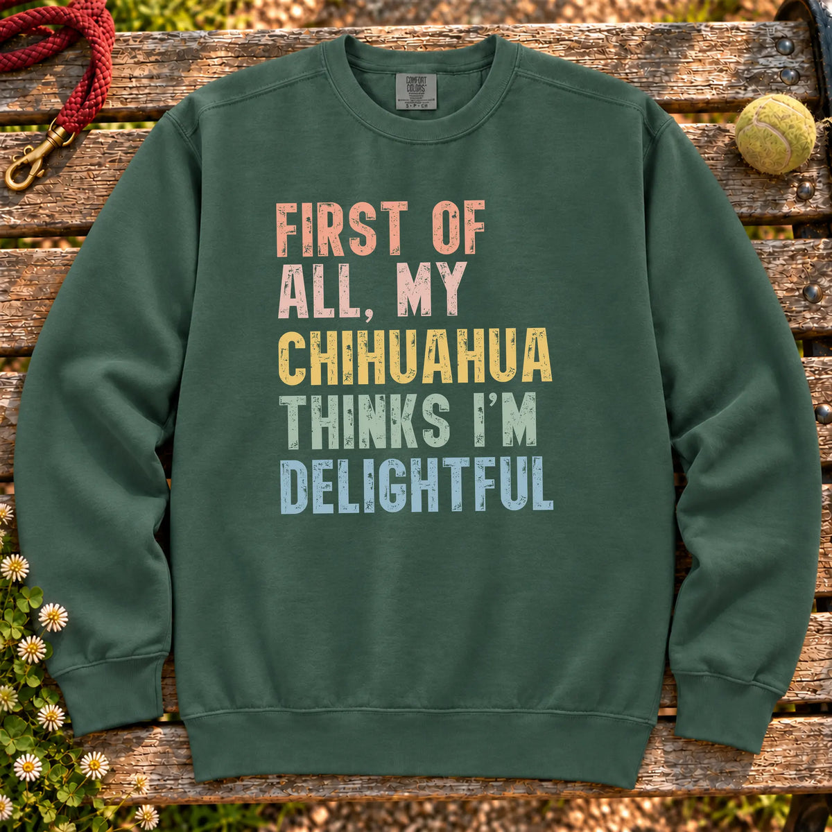 “First of all, my Chihuahua thinks I’m delightful” text on a Blue Spruce sweatshirt