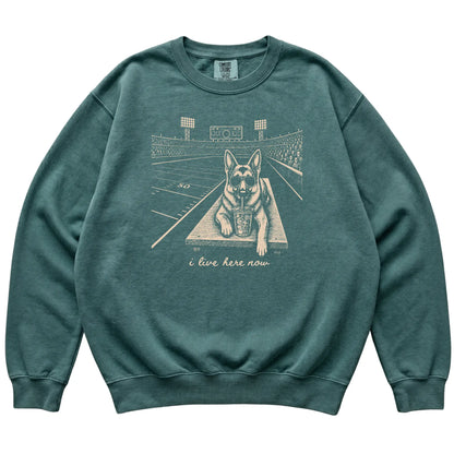 Blue Spruce German Shepherd Football Tailgate sweatshirt laid flat