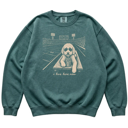 Blue Spruce Goldendoodle Football Tailgate sweatshirt laid flat