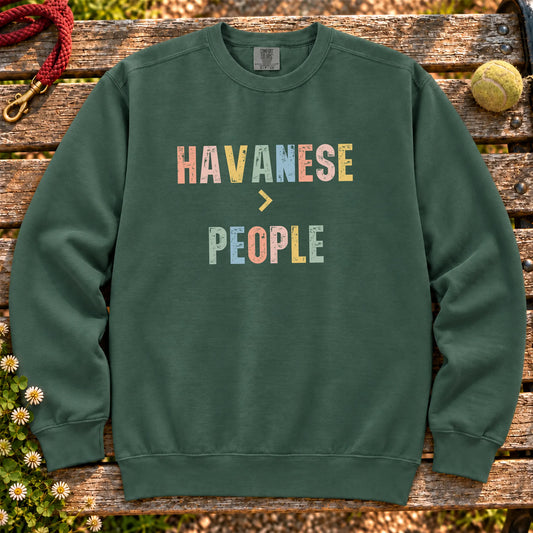 Havanese greater than people text design on a Blue Spruce Comfort Colors sweatshirt