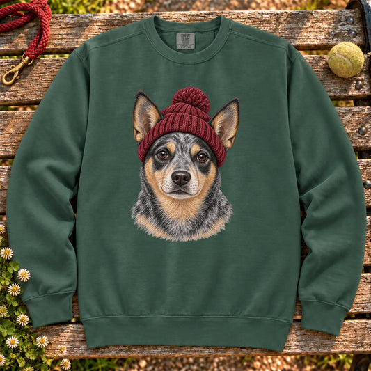 Blue Spruce Blue Heeler hipster sweatshirt with a dog portrait in a chunky maroon beanie
