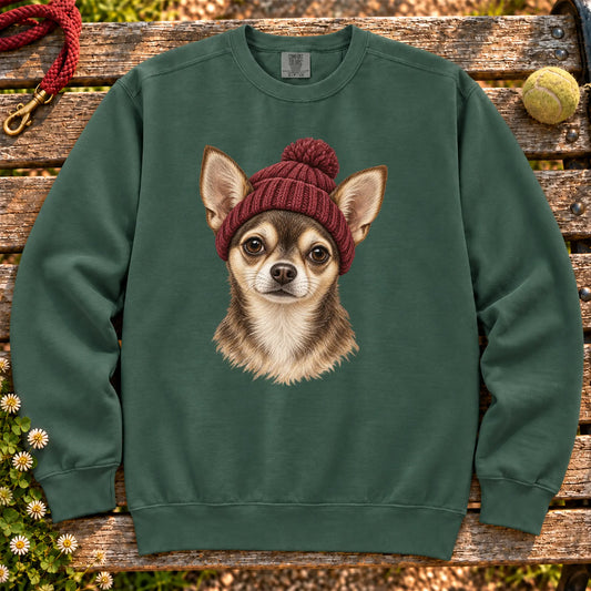 Blue Spruce Chihuahua hipster sweatshirt with a dog portrait in a chunky maroon beanie