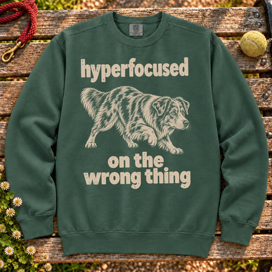 Blue Spruce sweatshirt with Australian Shepherd “hyperfocused on the wrong thing” design