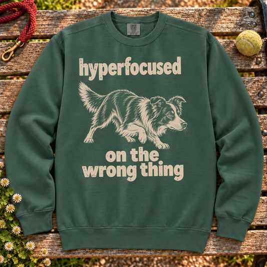Blue Spruce sweatshirt with Border Collie “hyperfocused on the wrong thing” design