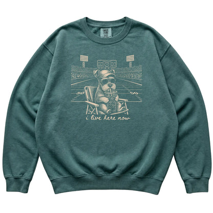 Blue Spruce Schnauzer Iced Coffee Football sweatshirt laid flat