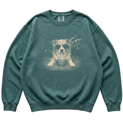Australian Shepherd wearing aviator sunglasses and drinking iced coffee on a Blue Spruce Comfort Colors 1566 Sweatshirt, flat lay view