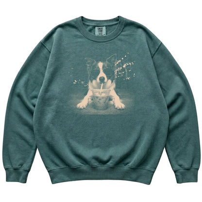 Border Collie wearing aviator sunglasses and drinking iced coffee on a Blue Spruce Comfort Colors 1566 Sweatshirt, flat lay view
