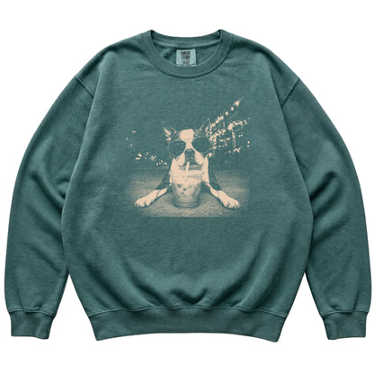 Boston Terrier wearing aviator sunglasses and drinking iced coffee on a Blue Spruce Comfort Colors 1566 Sweatshirt, flat lay view