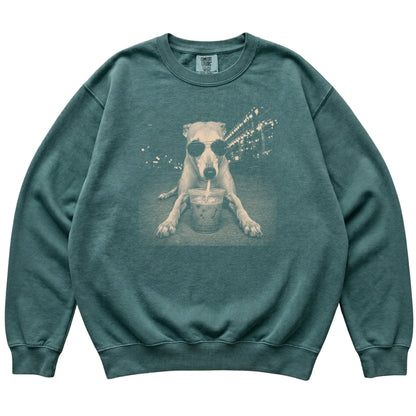 Greyhound wearing aviator sunglasses and drinking iced coffee on a Blue Spruce Comfort Colors 1566 Sweatshirt, flat lay view