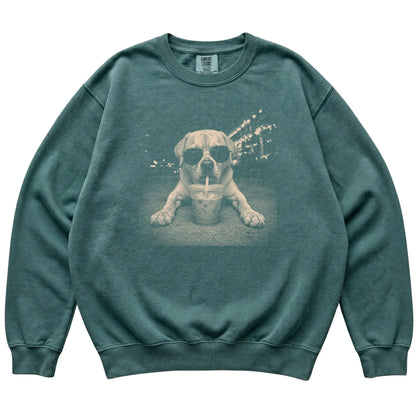 Labrador Retriever wearing aviator sunglasses and drinking iced coffee on a Blue Spruce Comfort Colors 1566 Sweatshirt, flat lay view