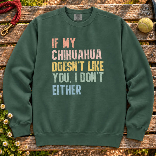 “If my Chihuahua doesn’t like you, I don’t either” text on a Blue Spruce sweatshirt