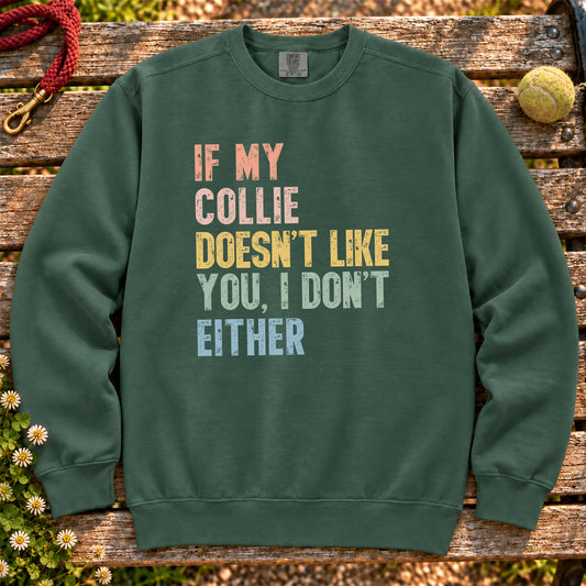 “If my Collie doesn’t like you, I don’t either” text on a Blue Spruce sweatshirt