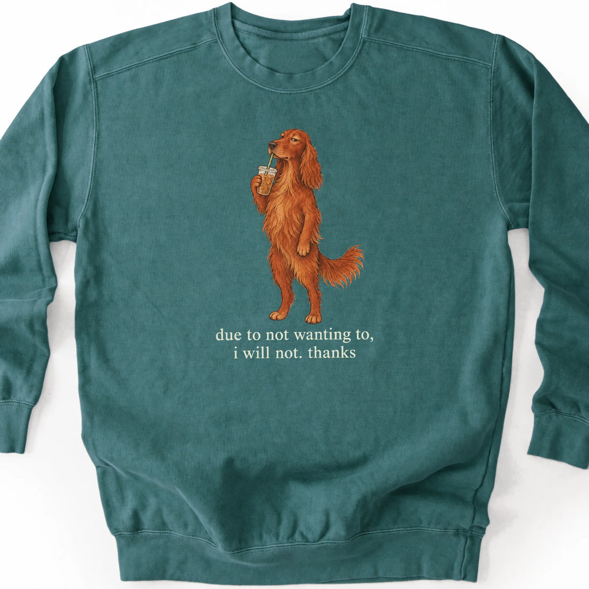 Irish Setter I Will Not design with iced coffee on a blue spruce sweatshirt