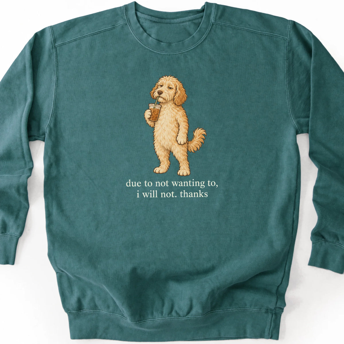 Labradoodle I Will Not design with iced coffee on a blue spruce sweatshirt